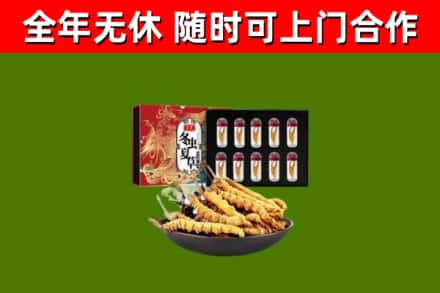 资阳烟酒回收冬虫夏草礼盒.jpg